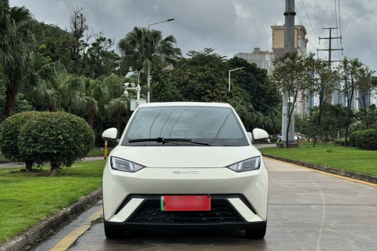 Used BYD Seagull 2023 Flying Edition Exterior 6