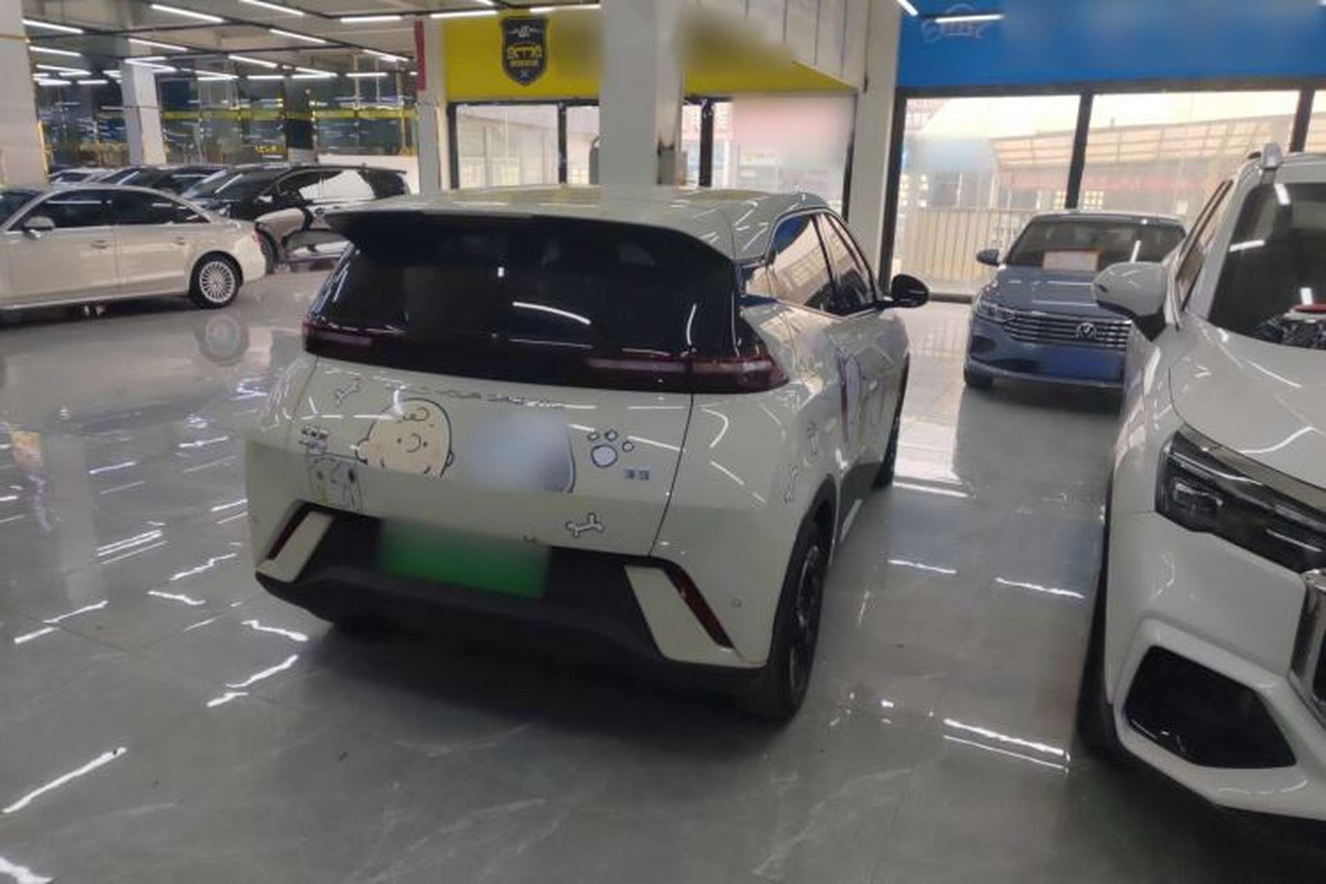 Used BYD Seagull 2023 Flying Edition Exterior 6