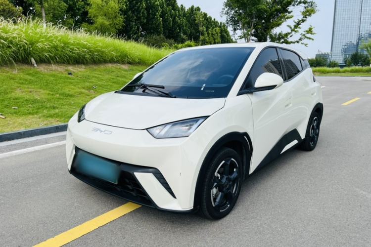 Used BYD Seagull 2023 Free Edition Exterior 9