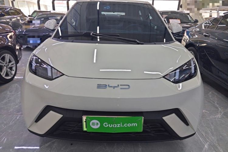 Used BYD Seagull 2023 Flying Edition Front