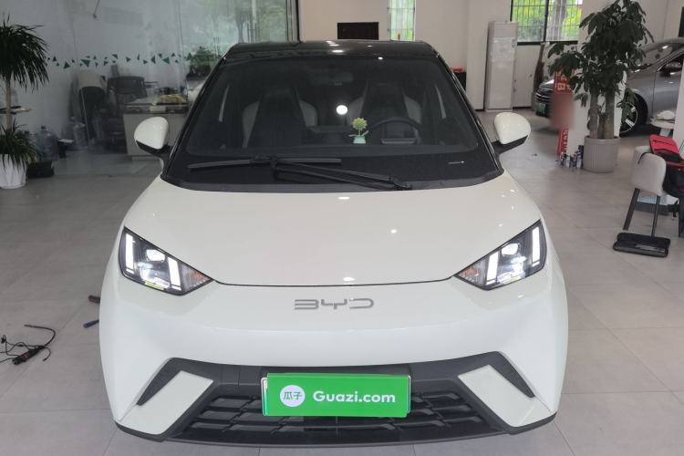 Used BYD Seagull 2023 Flying Edition Front