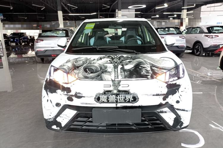 Used BYD Seagull 2023 Active Version Front