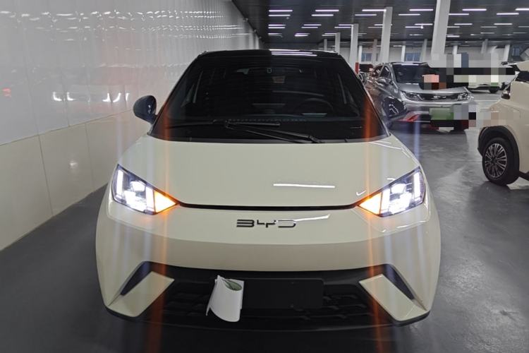Used BYD Seagull 2023 Flying Edition Front