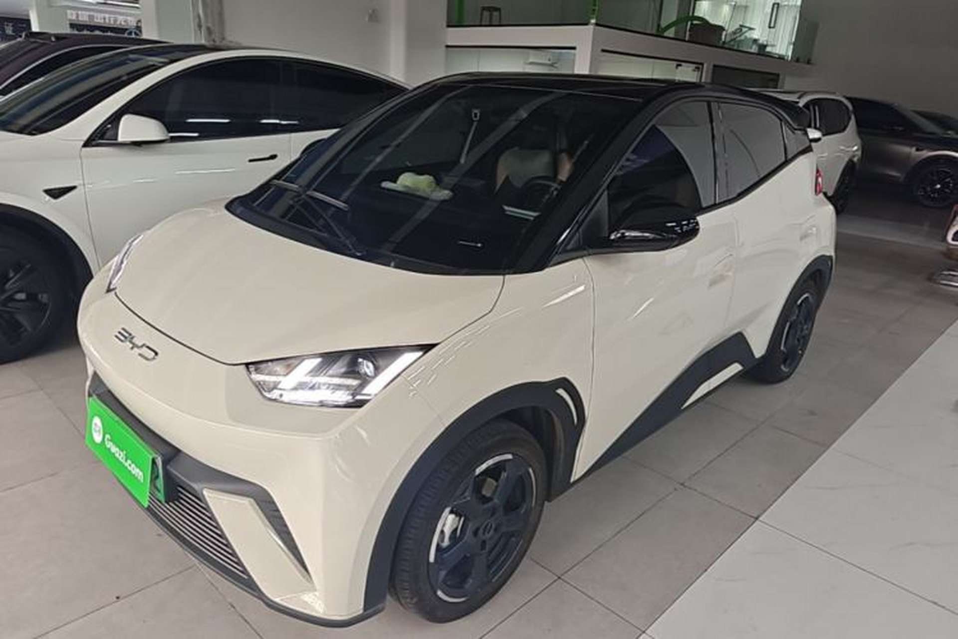 Used BYD Seagull 2023 Free Edition Front Left 45 Deg