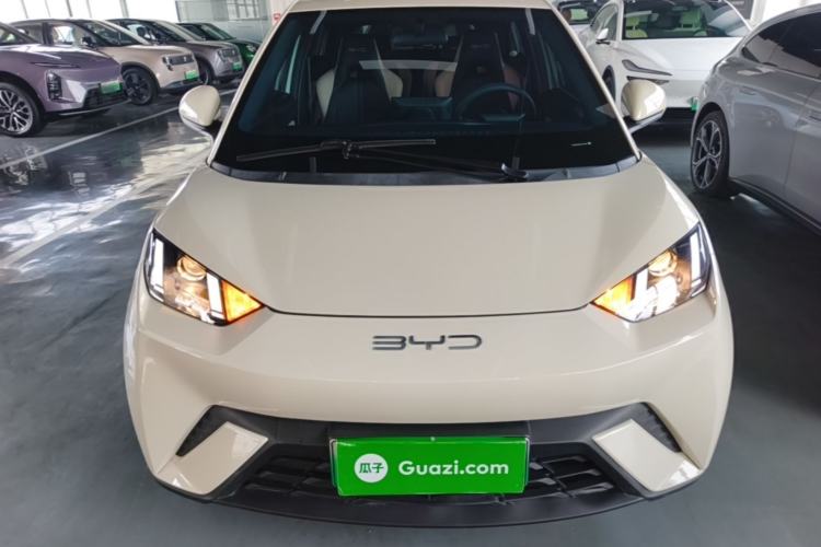 Used BYD Seagull 2023 Active Version Front