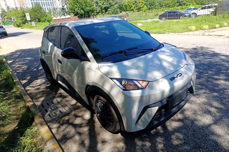 Used BYD Seagull 2023 Active Version Front Right 45 Deg