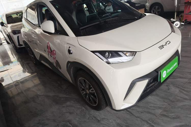 Used BYD Seagull 2023 Active Version Front Right 45 Deg
