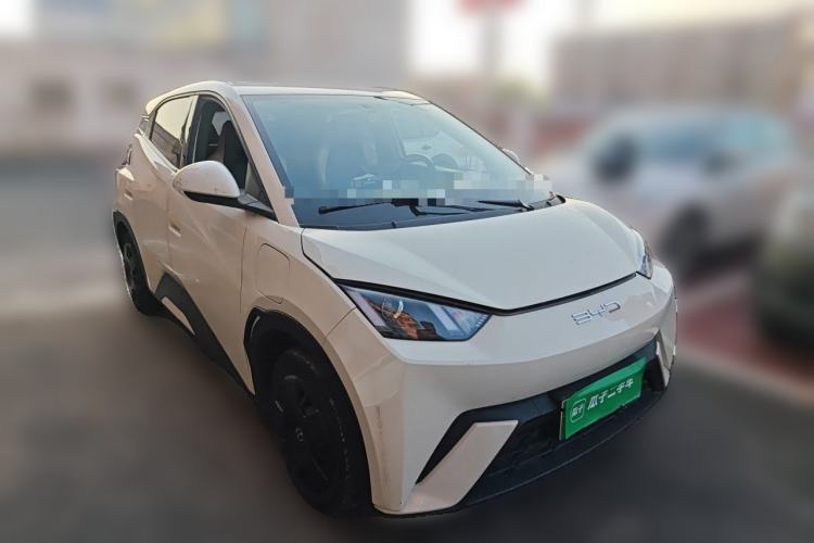 Used BYD Seagull 2023 Active Version Front Right 45 Deg