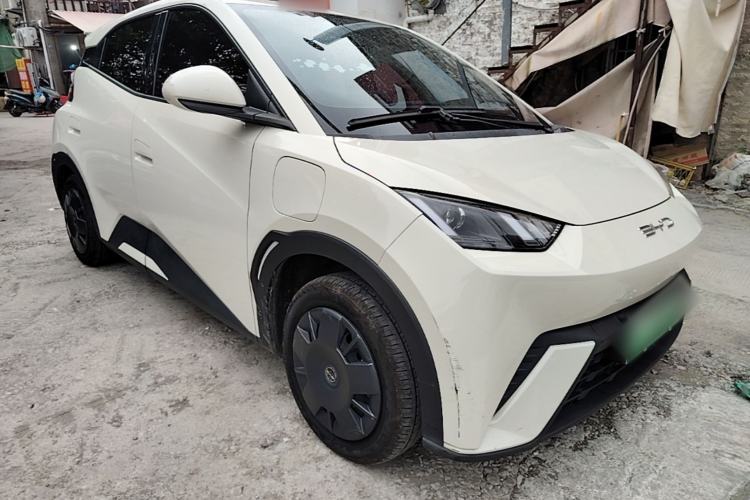 Used BYD Seagull 2023 Active Version Front Right 45 Deg
