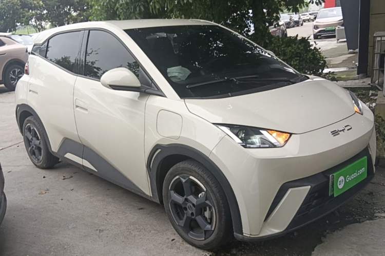Used BYD Seagull 2023 Free Edition Front Right 45 Deg
