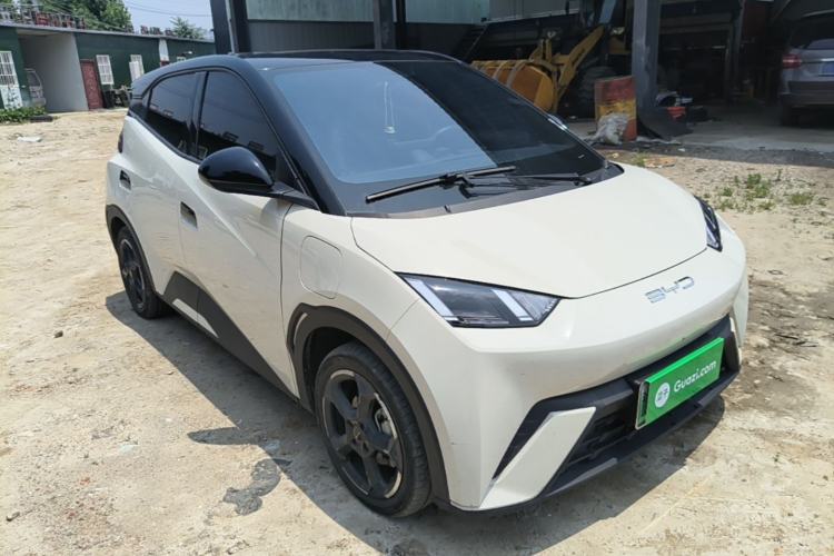 Used BYD Seagull 2023 Free Edition Front Right 45 Deg