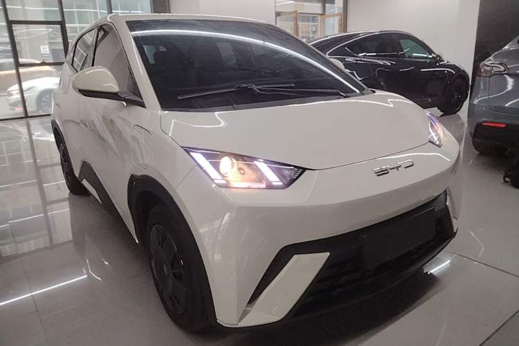 Used BYD Seagull 2023 Free Edition Front Right 45 Deg