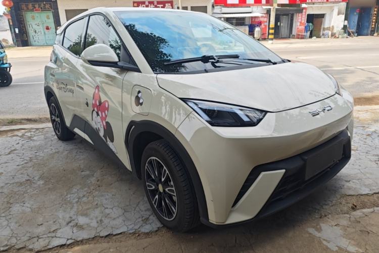 Used BYD Seagull 2023 Active Version Front Right 45 Deg