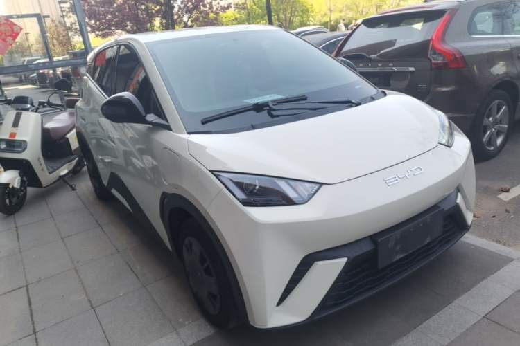 Used BYD Seagull 2023 Active Version Front Right 45 Deg