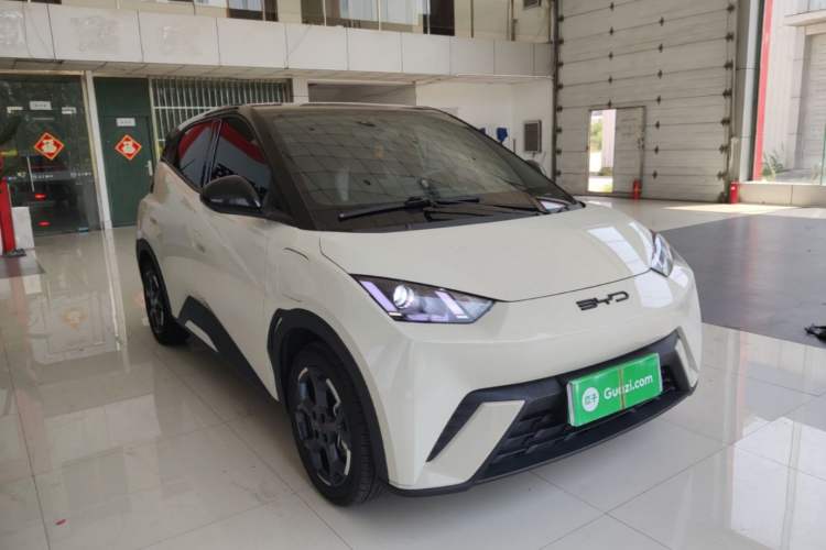 Used BYD Seagull 2023 Active Version Front Right 45 Deg