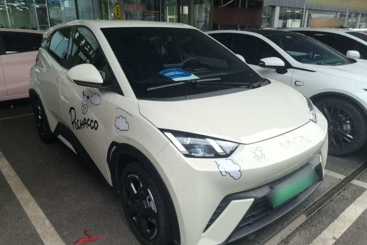 Used BYD Seagull 2023 Free Edition Front Right 45 Deg