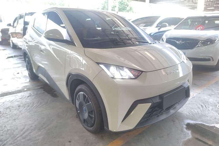 Used BYD Seagull 2023 Active Version Front Right 45 Deg