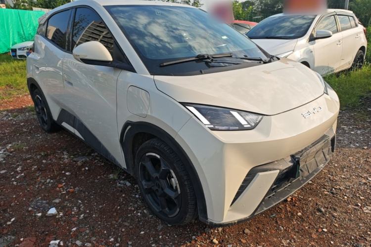 Used BYD Seagull 2023 Free Edition Front Right 45 Deg