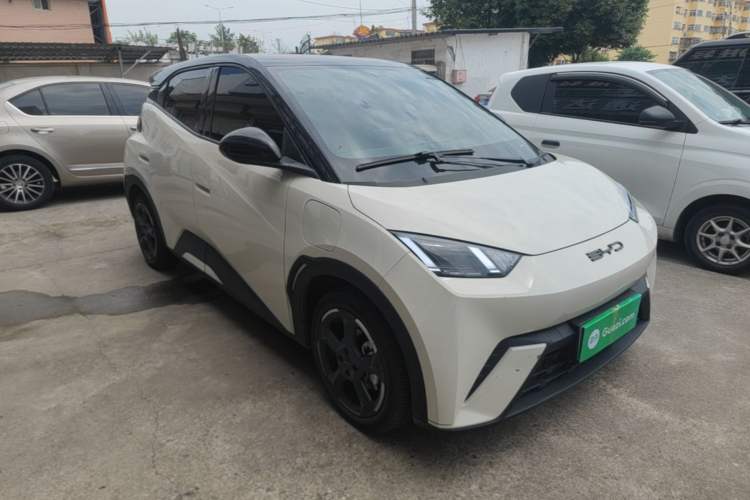Used BYD Seagull 2023 Active Version Front Right 45 Deg