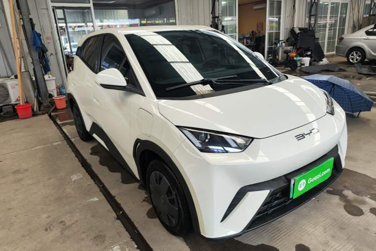 Used BYD Seagull 2023 Active Version Front Right 45 Deg