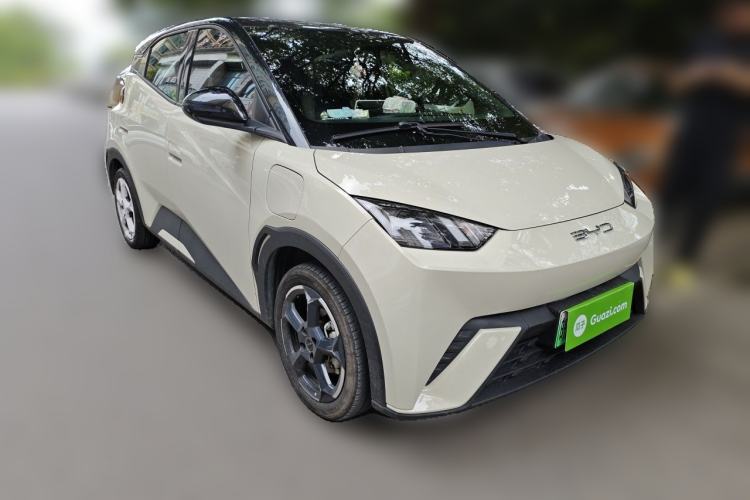 Used BYD Seagull 2023 Free Edition Front Right 45 Deg
