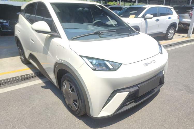Used BYD Seagull 2023 Active Version Front Right 45 Deg