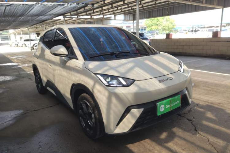 Used BYD Seagull 2023 Free Edition Front Right 45 Deg