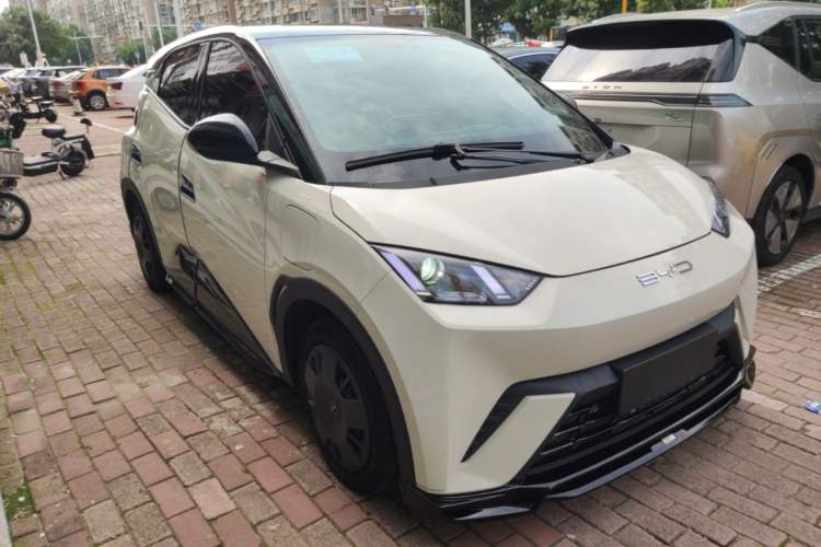 Used BYD Seagull 2023 Active Version Front Right 45 Deg