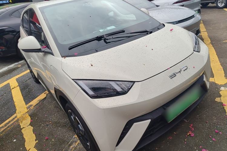 Used BYD Seagull 2023 Flying Edition Front Right 45 Deg