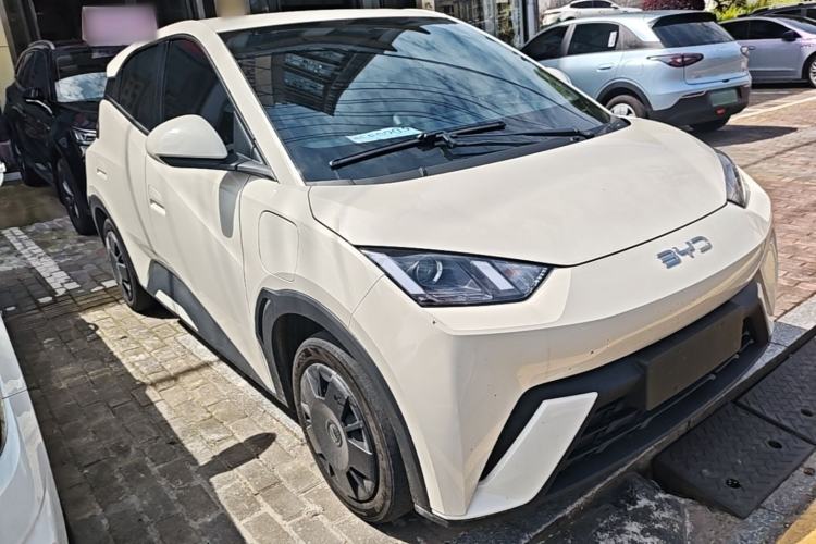 Used BYD Seagull 2023 Active Version Front Right 45 Deg