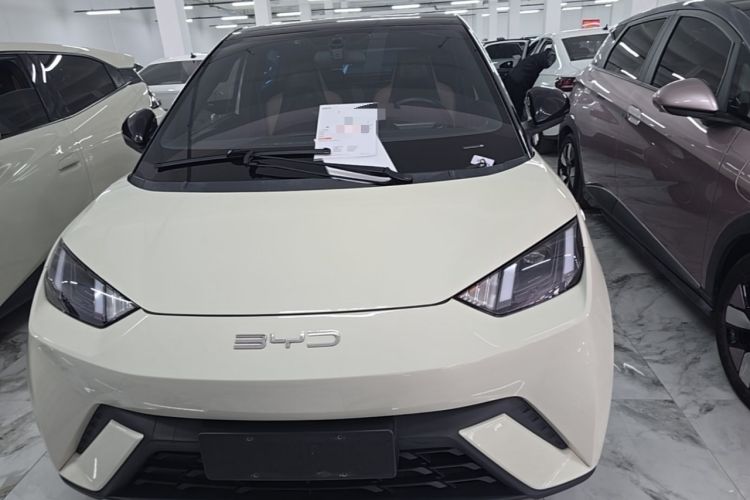 Used BYD Seagull 2023 Flying Edition Front