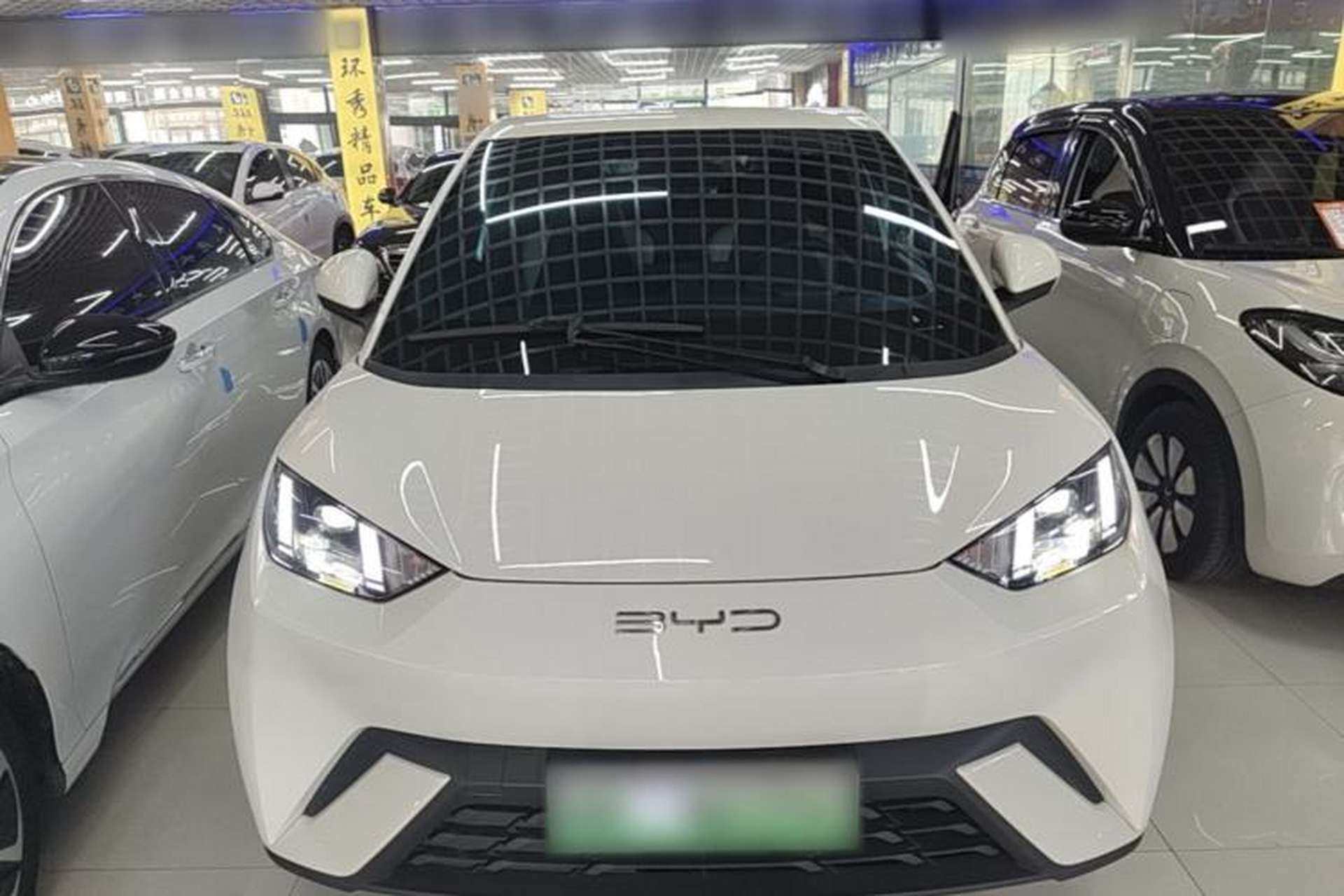 Used BYD Seagull 2023 Flying Edition Front