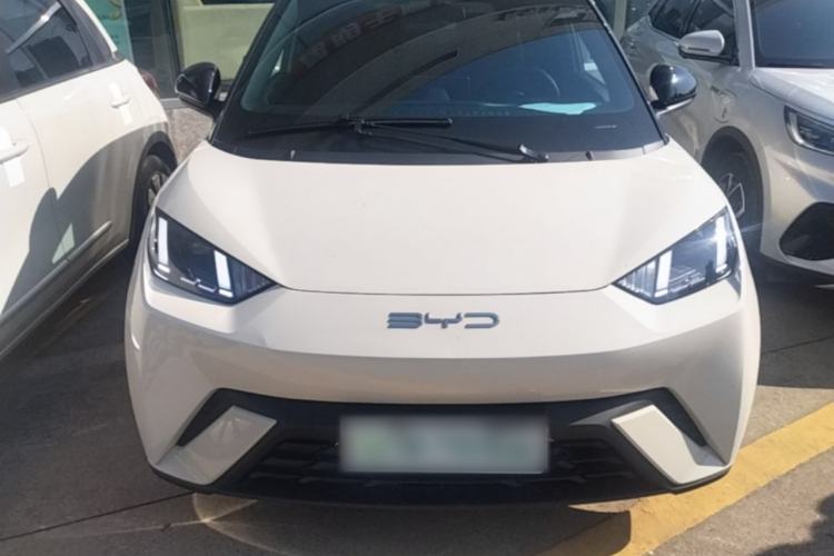 Used BYD Seagull 2023 Flying Edition Front