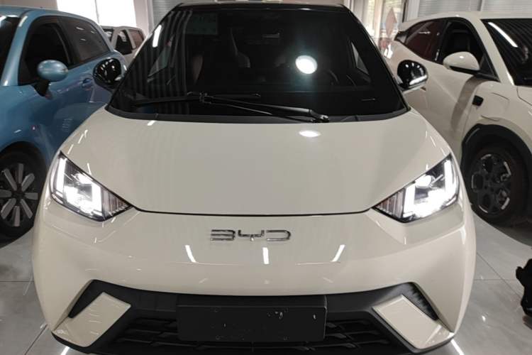 Used BYD Seagull 2023 Flying Edition Front