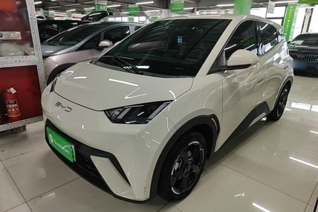 BYD Seagull 2023 Free Edition usado