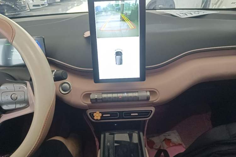 Used BYD Seagull 2023 Flying Edition Gear Lever