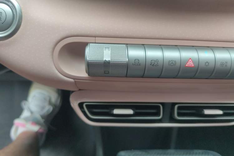 Used BYD Seagull 2023 Free Edition Gear Lever