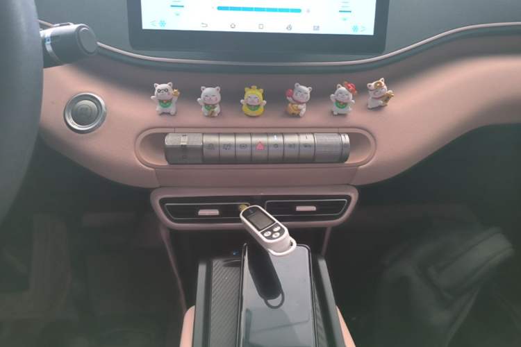 Used BYD Seagull 2023 Active Version Gear Lever