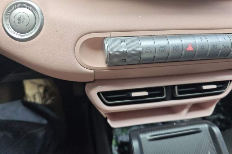 Used BYD Seagull 2023 Free Edition Gear Lever