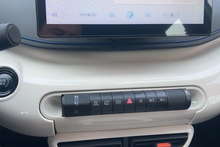 Used BYD Seagull 2023 Flying Edition Gear Lever
