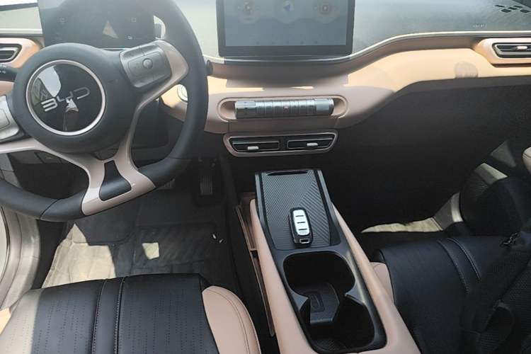 Used BYD Seagull 2023 Free Edition Gear Lever