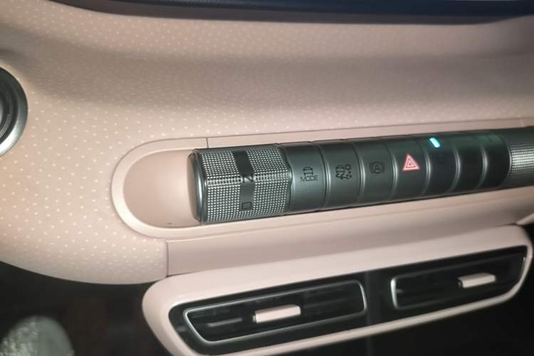 Used BYD Seagull 2023 Flying Edition Gear Lever