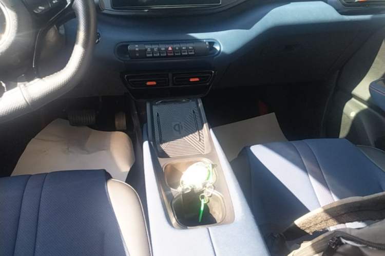 Used BYD Seagull 2023 Flying Edition Gear Lever