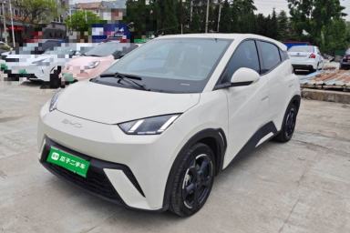 Used BYD Seagull 2023 Flying Edition