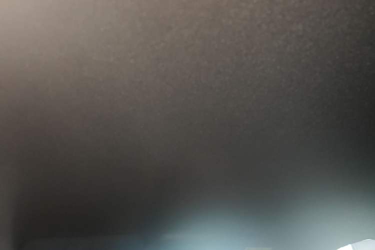 Used BYD Seagull 2023 Flying Edition Headliner