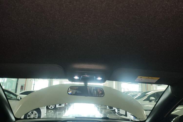 Used BYD Seagull 2023 Free Edition Headliner