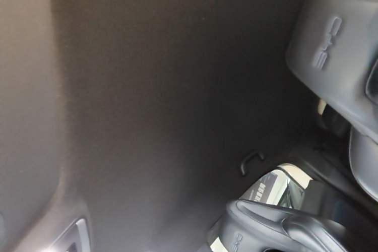 Used BYD Seagull 2023 Flying Edition Headliner