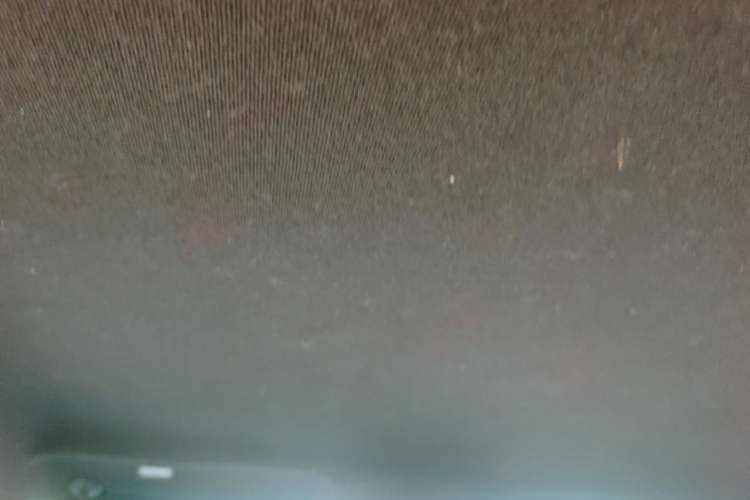 Used BYD Seagull 2023 Free Edition Headliner