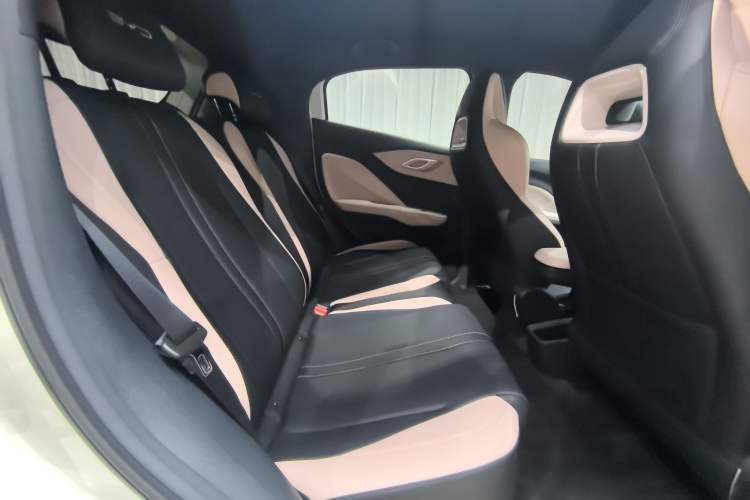 Used BYD Seagull 2023 Free Edition Headliner
