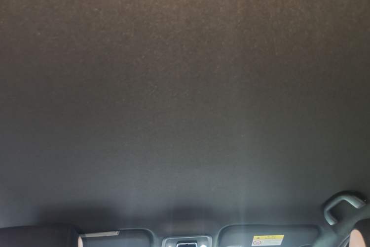 Used BYD Seagull 2023 Free Edition Headliner